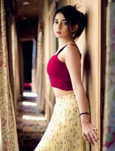 Call Girls Noida Sector 49